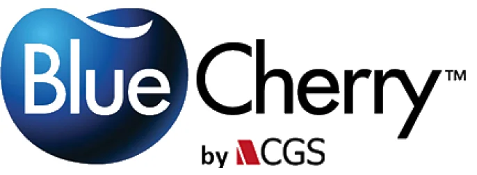 BlueCherry and Shopify Plus can improve business intelligence.
