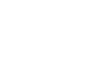 Paradigm Spine (Coflex)