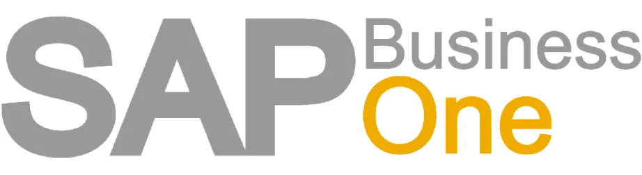 ECommerce business with SAP Business One can improve business intelligence.