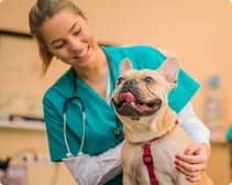 Merck Animal Health
